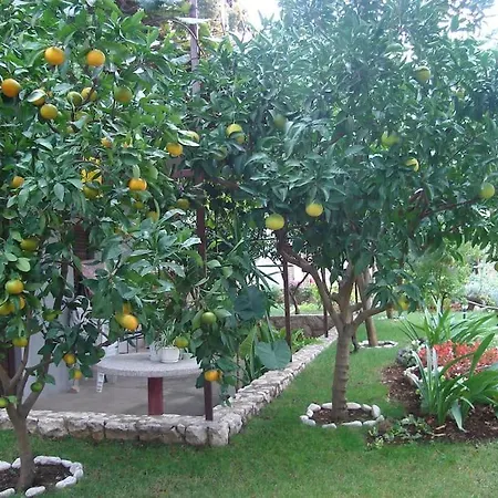 Mia - Spacious On 85 M2 With Beautiful Sea View * Trogir